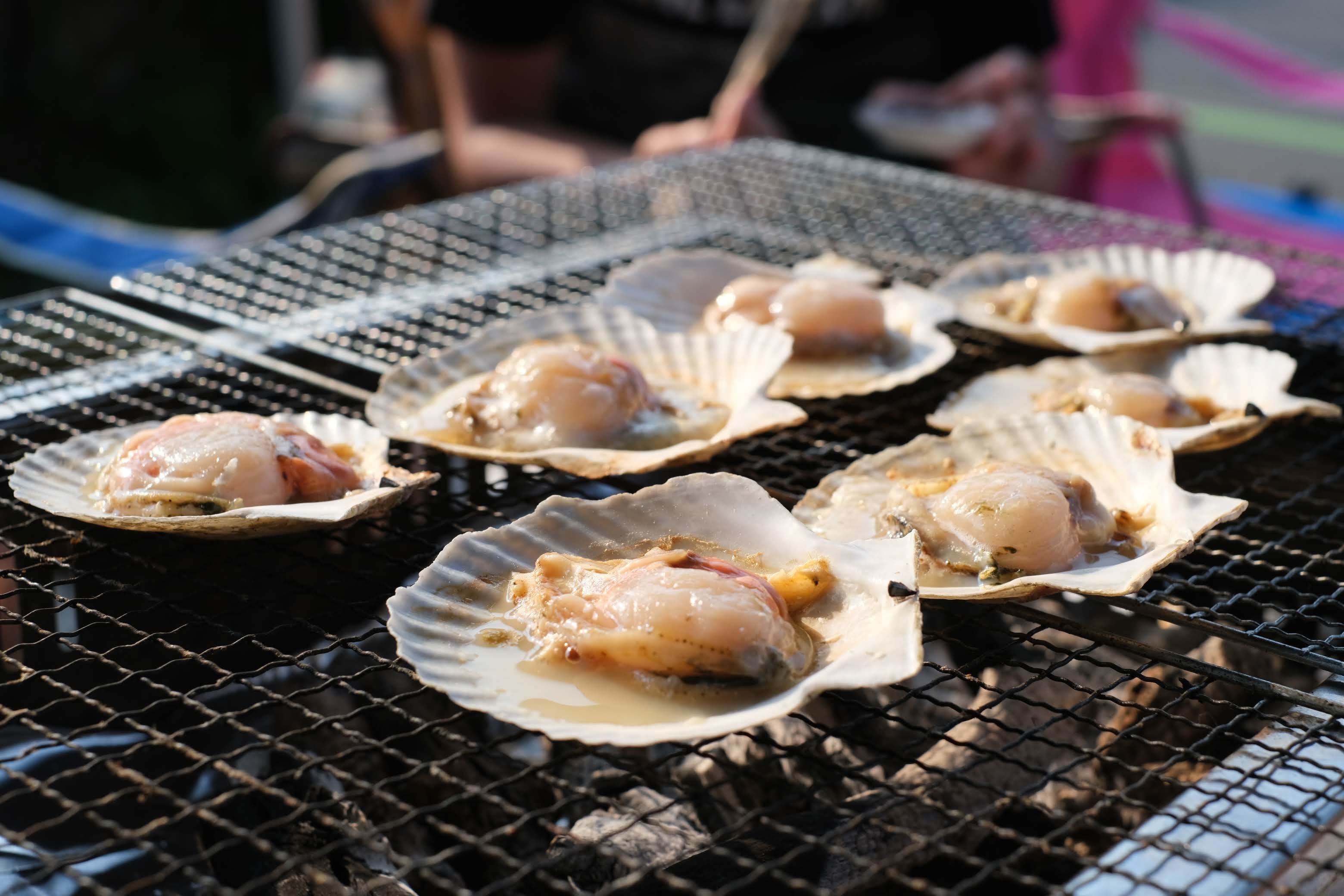 今年も天橋立で海パーン！してきた